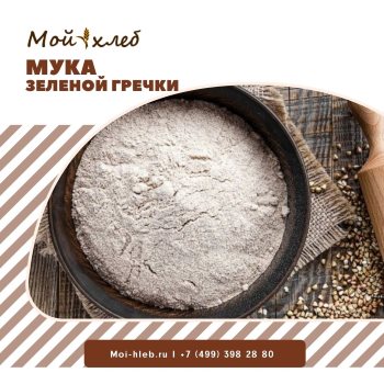 Чем полезна мука из зеленой гречки